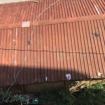 Karayolları Genel Müdürlüğü Konteynerden Eve Ve Sağlık Ocağına Gelen Fareler Mikrop Saçıyor