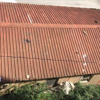 Karayolları Genel Müdürlüğü Konteynerden Eve Ve Sağlık Ocağına Gelen Fareler Mikrop Saçıyor