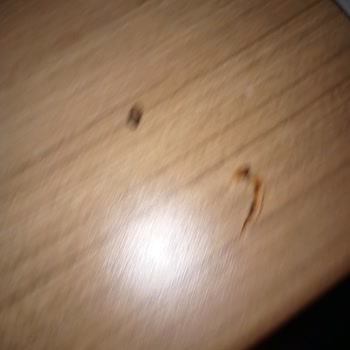 Villasepeti.com Hijyen Sorunları Ve İlgisiz Ev Sahibi İle Kötü Tatil Deneyimi