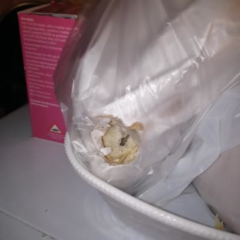 Villasepeti.com Hijyen Sorunları Ve İlgisiz Ev Sahibi İle Kötü Tatil Deneyimi