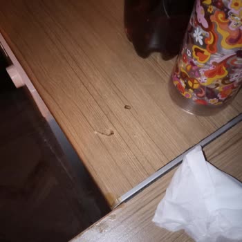 Villasepeti.com Hijyen Sorunları Ve İlgisiz Ev Sahibi İle Kötü Tatil Deneyimi