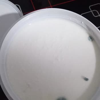 Hakmar Gıda Güneşoğlu Yoğurt Küflü Çıktı