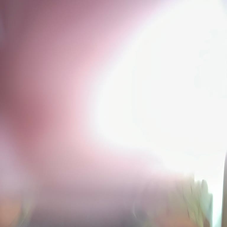 Renault Yetkili Servise Ulaşamamak