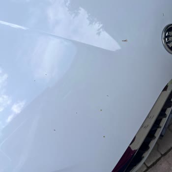 Kayadibi Otomotiv Skoda Servis Hizmeti Parayı Alana Kadar!