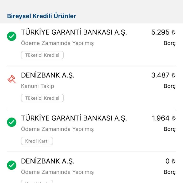 Ödenmiş Borca Rağmen Findeks Puanım Hesaplanmıyor