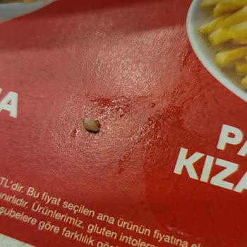 Kurtköy Viaport Baydöner'de Hayal Kırıklığı: Hijyen Ve Servis Sorunları!