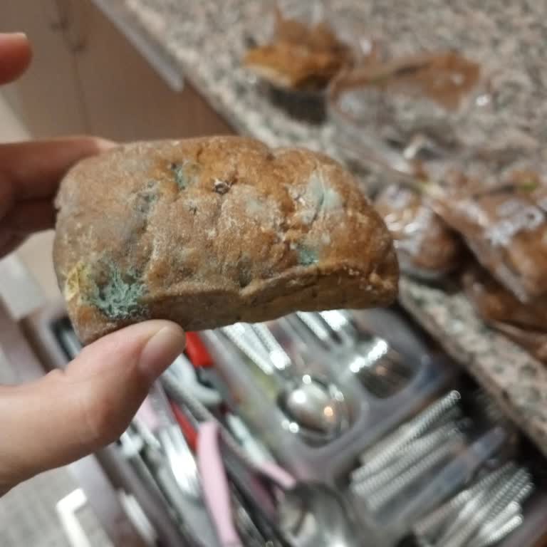 Altın Ekmek Halk Ekmek Bayi