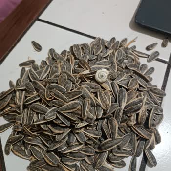 Şok Marketler Grubu İnsanların Sağlıklarıyla Oynuyor