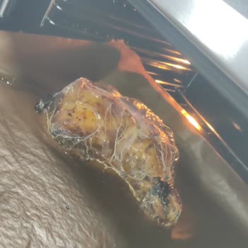 Knorr Yanmaz Fırın Poşeti Yemeğimi Mahvetti
