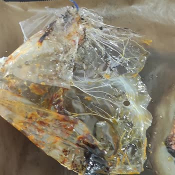 Knorr Yanmaz Fırın Poşeti Yemeğimi Mahvetti