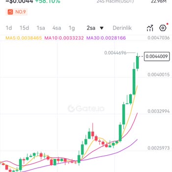 Paribu Borsasında Reef Coin Fiyat Farkı Ve Transfer Sorunu