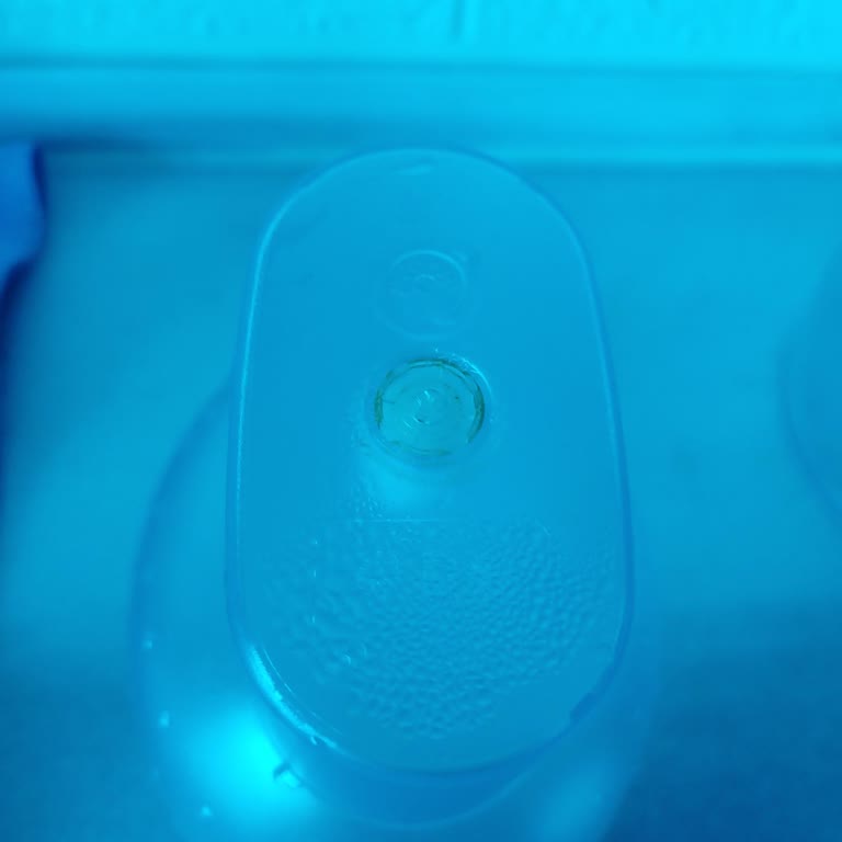 Brita Sürahi Yosun Tutuyor