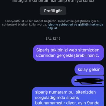 Saint Youth Sorumsuz Ve Güvenilmez