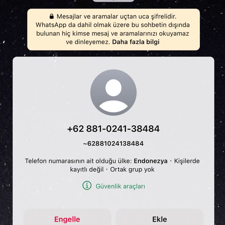 WhatsApp +62 881‑0241‑38484