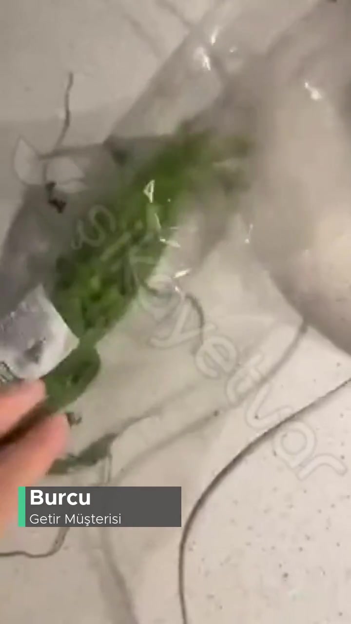 Getir Çürük Maydonoz Getirdi videonun kapak resmi