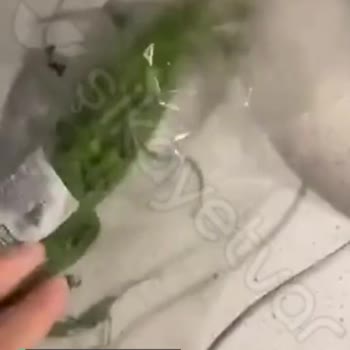 Getir Çürük Maydonoz Getirdi
