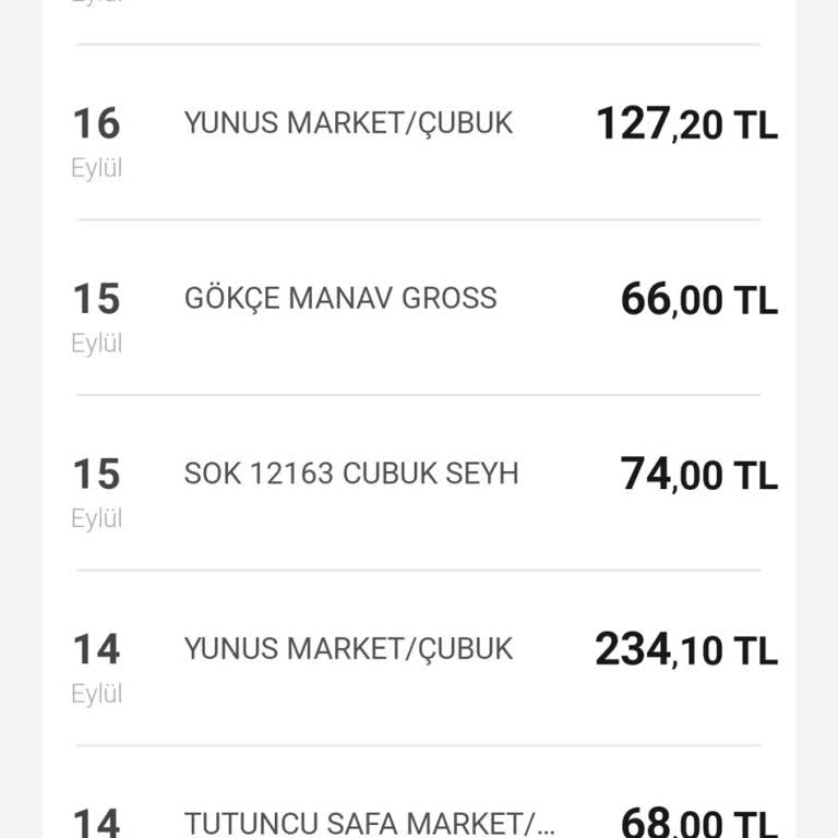 CV Maker TR Kafasına Göre Hesaptan Para Çekiyor