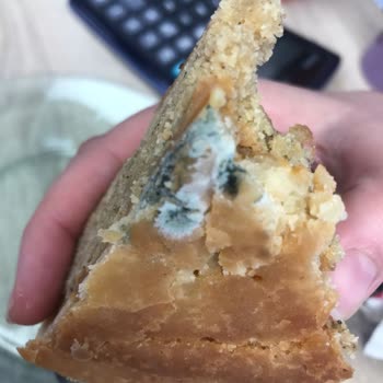 Ceviz Ağacı Pasta & Cafe Cevizağacı Cafe Küflü Tartlar