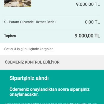 Sahibinden Param Güvende Sorunu.