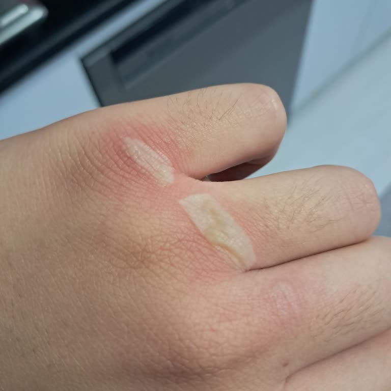 Schafer Tava Tasarımı Çok Kötü