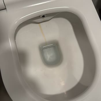 Yasmin Bodrum Resort'ta Hayal Kırıklığı Yaşadım