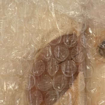 Trendyol Sent Me a Faulty Bed After 10 Days of Waiting and Only Offers a Refund