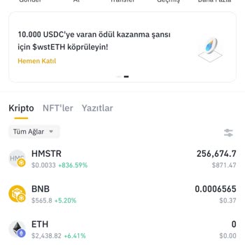 Pancakeswap'ta Satış Yapamıyorum: Hmstr Coin Sorunu