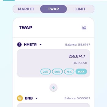 Pancakeswap'ta Satış Yapamıyorum: Hmstr Coin Sorunu