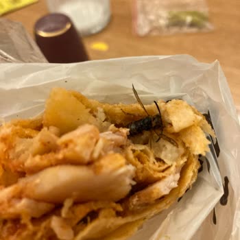 Maydonoz Döner Eskişehir Çamlıca Sipariş Detayı