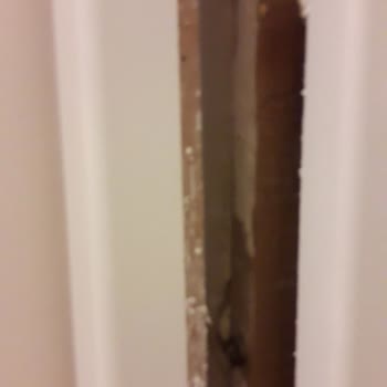 Özge Kapı Yaptırmayın Pişman Olursunuz