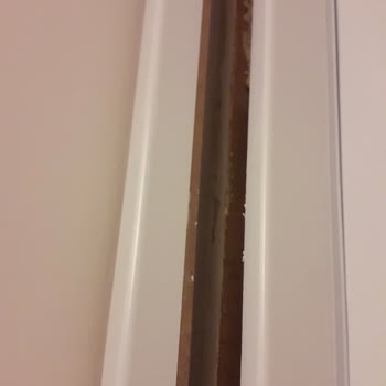 Özge Kapı Yaptırmayın Pişman Olursunuz