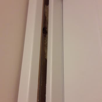 Özge Kapı Yaptırmayın Pişman Olursunuz