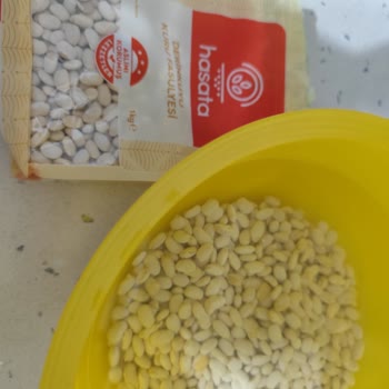 Hasata Kurufasulye Çok Kalitesiz Ve Kötü