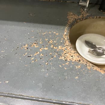 Bianca Boya Ürünün Dedikleri Gibi Çıkmaması