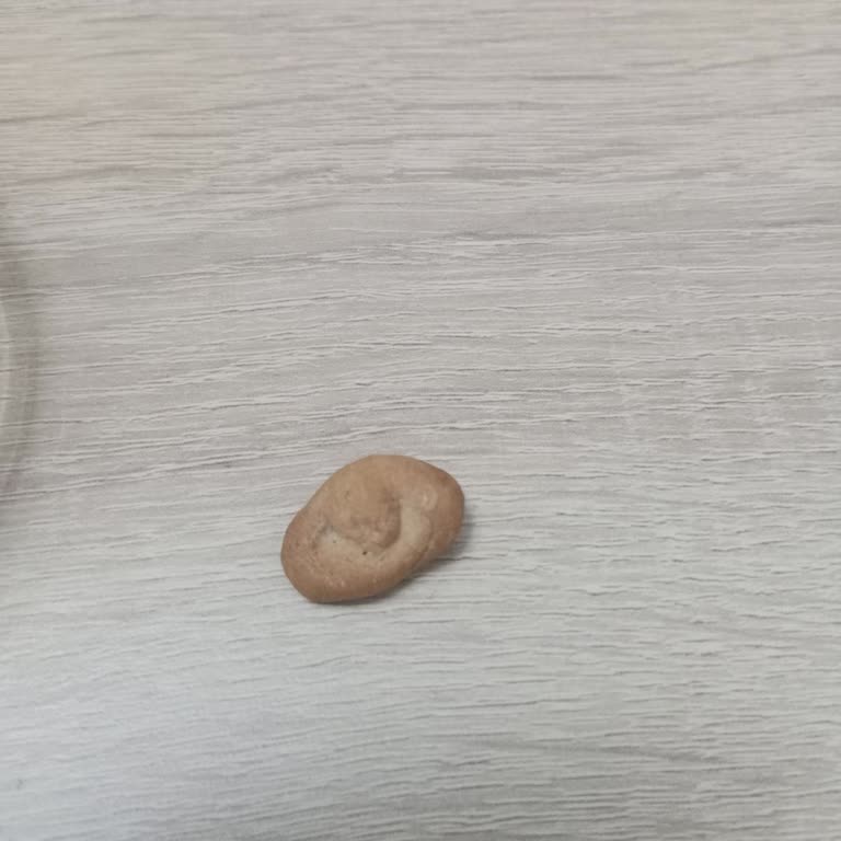 Beyoğlu Kasımpaşa Makbul Şubesi