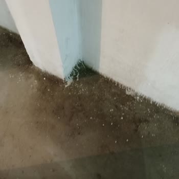 İSKİ Apt Girişi Vana Su Kaçağı