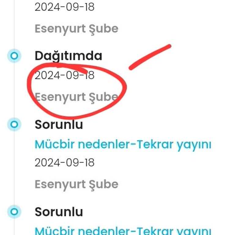 Kargoist Firmasının Dağitim Yapamama Sorunu