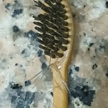 A101 Vepa Diş Fırçası Kılları Dökülüyor