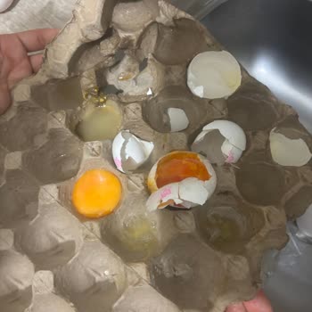 BİM Market Bili Bili Yumurta