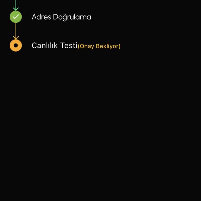 Slayz Kimlik Ve Canlılık Testi Onayı Hızlandıralım