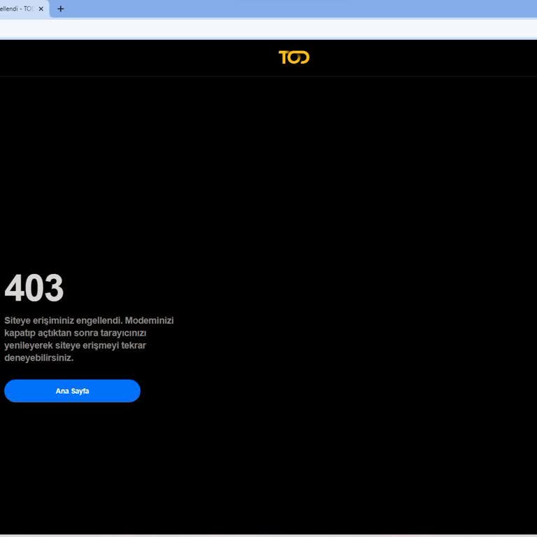 Todtv 403 Hatası