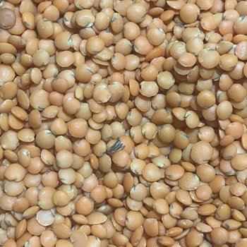 Migros Tarihi Geçmiş Ürün