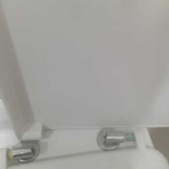 Bien Seramik Bien Marka Klozet Menteşe Sorunu