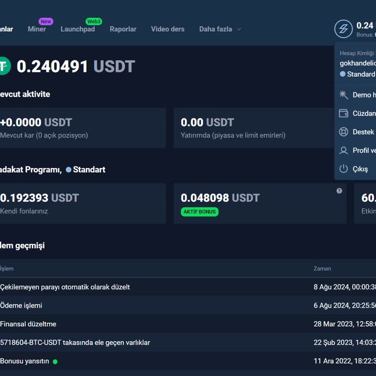 Storm Gain Ödeme Yapmıyor