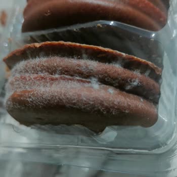 Luppo Son Kullanma Daha Var Ama Ürün Küflü Çıktı...