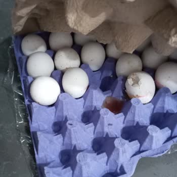 Kepekçi Yumurta Essen Market'ten Satın Alınan Yumurta Kalitesi Hayal Kırıklığı Yarattı