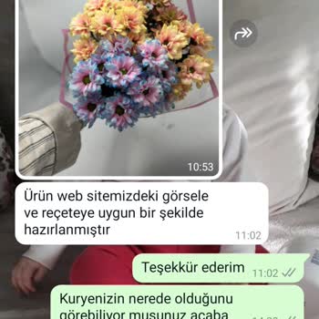 İstanbul Çiçekleri Geç Gelen Çiçek
