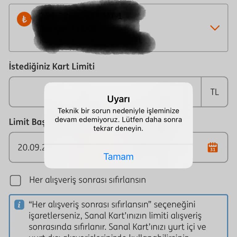 ING Bank Sanal Kart Sorunsalı.