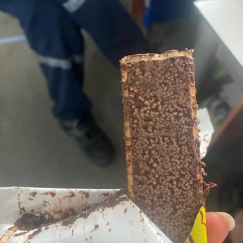 Ülker Çikolatalı Gofret Yuvarlak Tanecikler