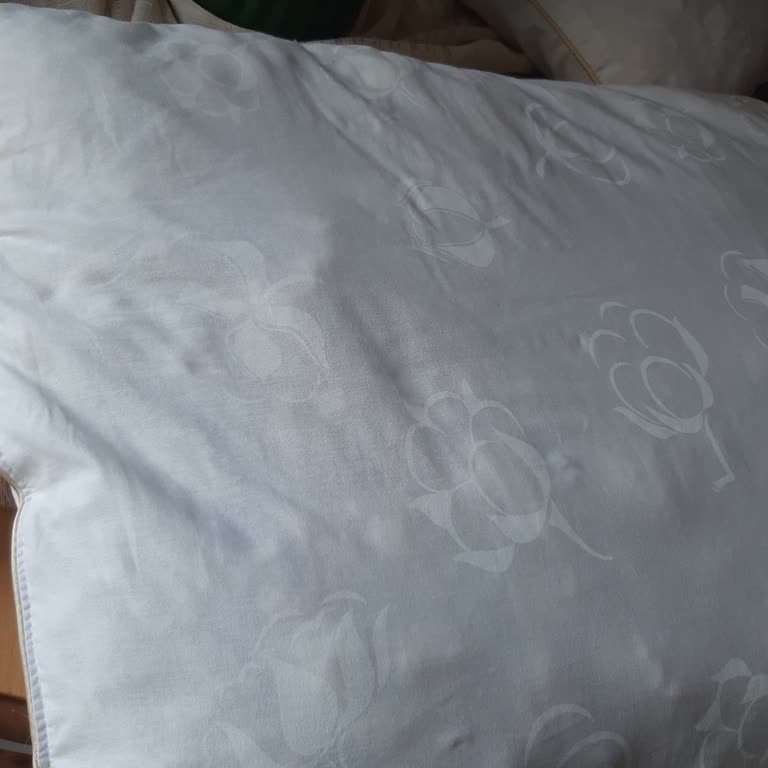 English Home Pamuk Yastık Kötü Koku